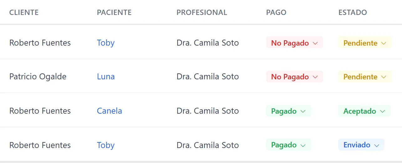 Lista de presupuestos con su estado de pago y su seguimiento: pendiente, aceptado y enviado.